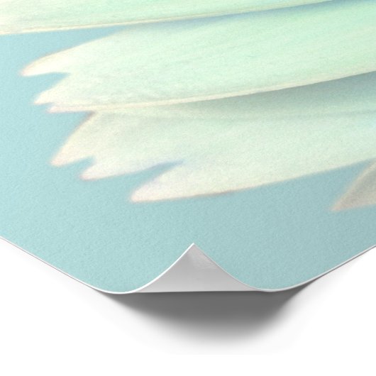 Gerbera Daisy Poster (Ecke)