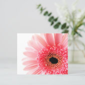 Gerbera Daisy Poster (Stehend Vorderseite)