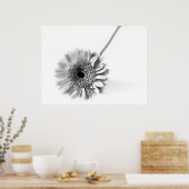 Gerbera Daisy Poster (Küche)
