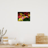 Gerbera Daisy Poster (Küche)