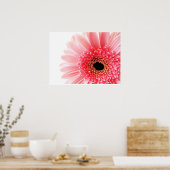 Gerbera Daisy Poster (Küche)