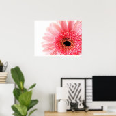 Gerbera Daisy Poster (Heimbüro)