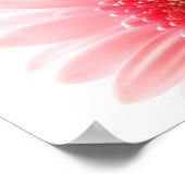 Gerbera Daisy Poster (Ecke)