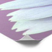 Gerbera Daisy Poster (Ecke)