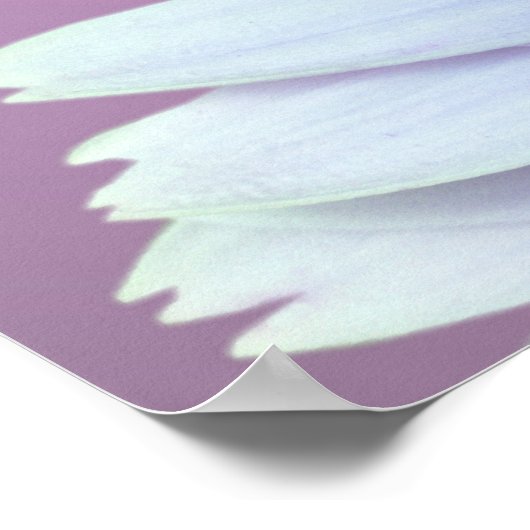 Gerbera Daisy Poster (Ecke)