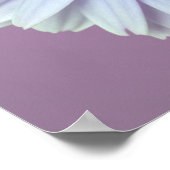 Gerbera Daisy Poster (Ecke)