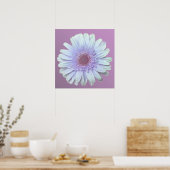 Gerbera Daisy Poster (Küche)