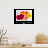 Gerbera Daisy Poster (Küche)
