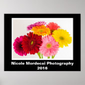 Gerbera Daisy Poster (Vorne)