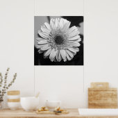 Gerbera Daisy Poster (Küche)