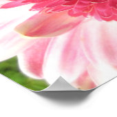 Gerbera Daisy Poster (Ecke)