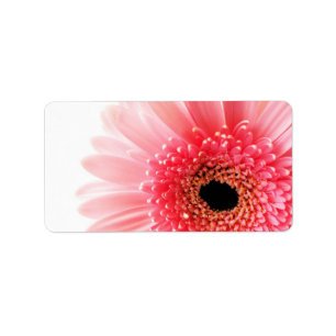 Gerbera Daisy Poster Adressaufkleber