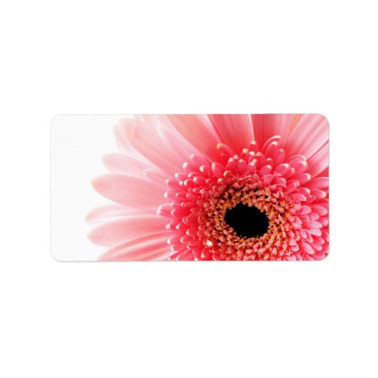 Gerbera Daisy Poster Adressaufkleber (Vorne)