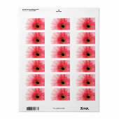 Gerbera Daisy Poster Adressaufkleber (Vorne)
