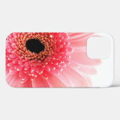 Gerbera Daisy Poster Case-Mate iPhone Hülle (Rückseite (Horizontal))