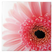 Gerbera Daisy Poster Fliese (Vorderseite)