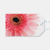 Gerbera Daisy Poster Geschenkanhänger (Vorderseite (Horizontal))