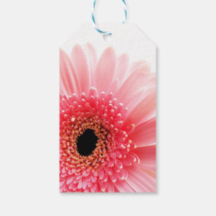 Gerbera Daisy Poster Geschenkanhänger