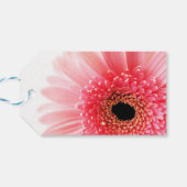 Gerbera Daisy Poster Geschenkanhänger (Rückseite Horizontal)