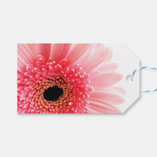 Gerbera Daisy Poster Geschenkanhänger (Vorderseite (Horizontal))