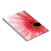Gerbera Daisy Poster Notizblock (Rechte Seite)