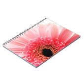 Gerbera Daisy Poster Notizblock (Linke Seite)