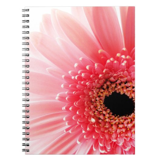 Gerbera Daisy Poster Notizblock (Vorderseite)