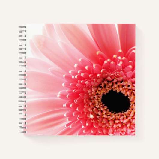 Gerbera Daisy Poster Notizblock (Vorderseite)