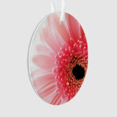 Gerbera Daisy Poster Ornament (Vorderseite)