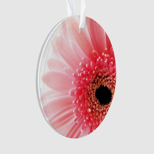 Gerbera Daisy Poster Ornament (Vorderseite)