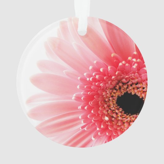 Gerbera Daisy Poster Ornament (Rückseite)