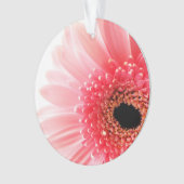 Gerbera Daisy Poster Ornament (Vorderseite)