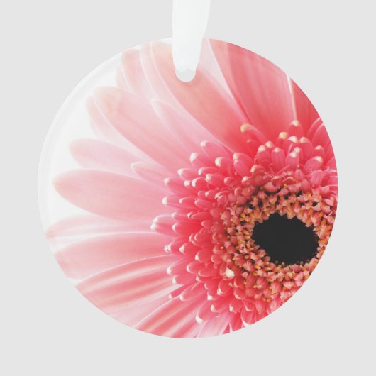 Gerbera Daisy Poster Ornament (Vorderseite)