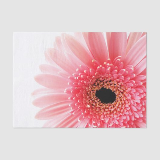 Gerbera Daisy Poster Seidenpapier (Vorderseite)