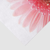 Gerbera Daisy Poster Seidenpapier (Ausschnitt)