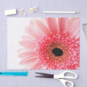 Gerbera Daisy Poster Seidenpapier (Handwerk)