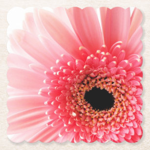 Gerbera Daisy Poster Untersetzer