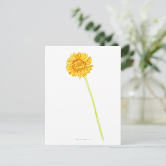 Gerbera daisy postkarte (Stehend Vorderseite)
