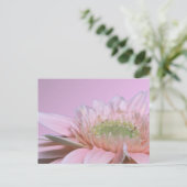 Gerbera Daisy Postkarte (Stehend Vorderseite)