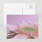 Gerbera Daisy Postkarte (Vorne/Hinten)