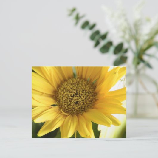 Gerbera Daisy Postkarte (Stehend Vorderseite)