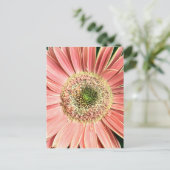 Gerbera Daisy Postkarte (Stehend Vorderseite)
