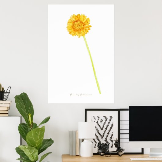 Gerbera daisy Print, Value Poster Paper (Matte) (Heimbüro)