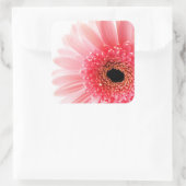 Gerbera Daisy Quadratischer Aufkleber (Tasche)
