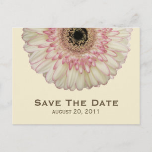 Gerbera Daisy Save the Date Postcard Ankündigungspostkarte