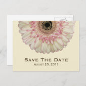 Gerbera Daisy Save the Date Postcard Ankündigungspostkarte (Vorne/Hinten)