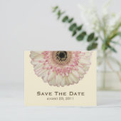 Gerbera Daisy Save the Date Postcard Ankündigungspostkarte (Stehend Vorderseite)