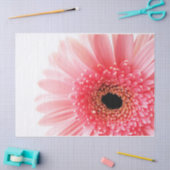 Gerbera Daisy Seidenpapier (Basteln)