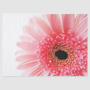 Gerbera Daisy Seidenpapier