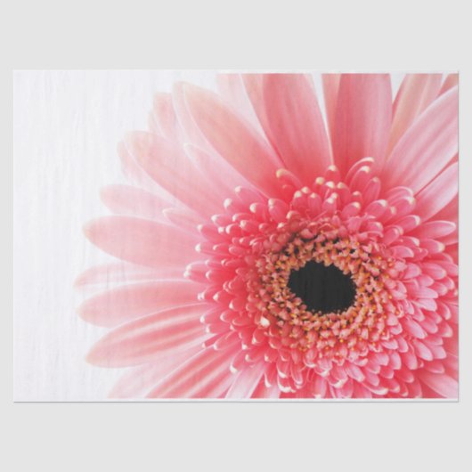 Gerbera Daisy Seidenpapier (Vorderseite)